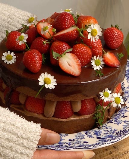 Chocolate Strawberry Shortcake 🍓