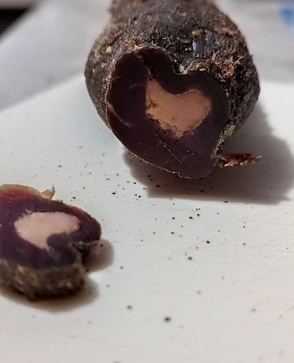 Filet mignon séché farci au foie gras