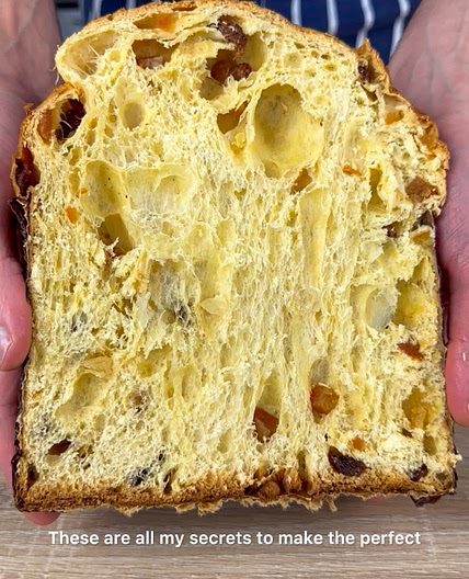 HOMEMADE PANETTONE