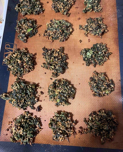 Quinoa pats