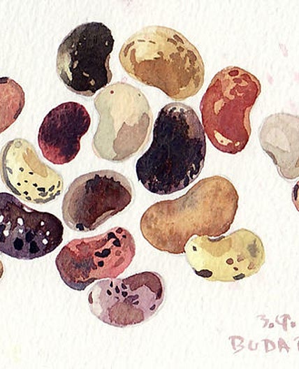 BEAN STEWS | Elisabethluard