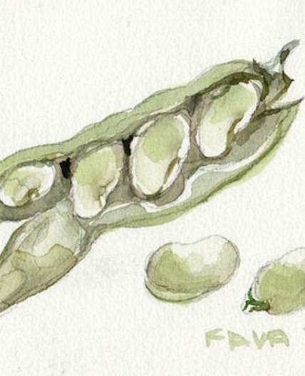 BROAD BEANS WITH FENNEL | Elisabethluard