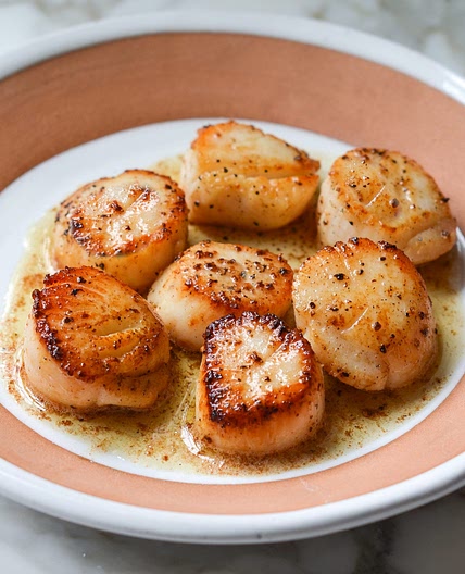 Scallops