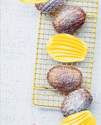 Honey Madeleine 