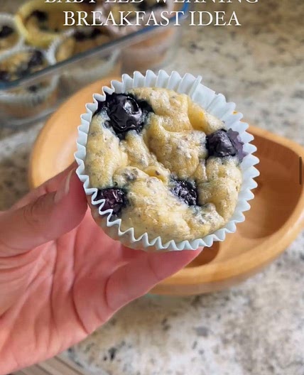 Blueberry Muffins