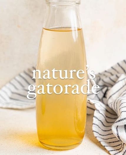 Switchel Recipe (Nature’s Gatorade)