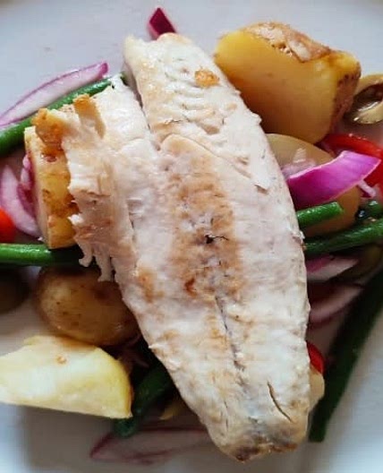 Mediterranean Sea Bass