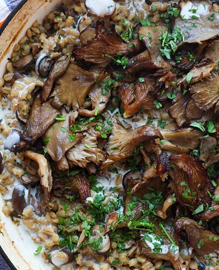 Mushroom Barley Bake with Balsamic Mushrooms | BOSH!