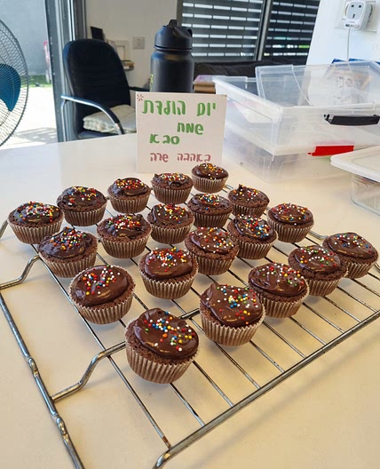 Chocolate cupcakes