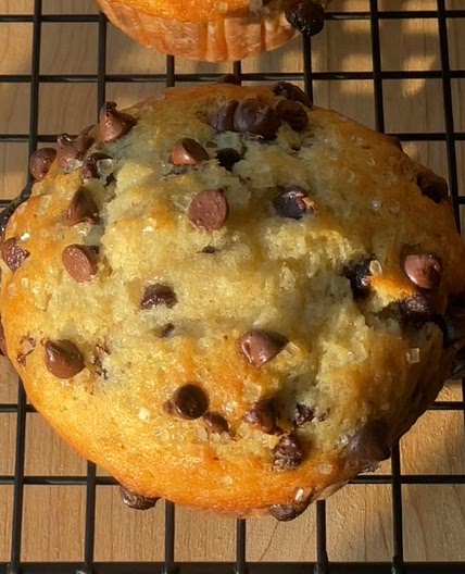 Bakery Style Chocolate Chip Muffins
