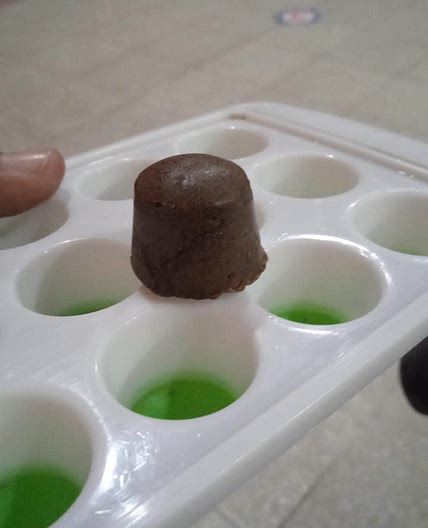 Moringa Chochlate Candy