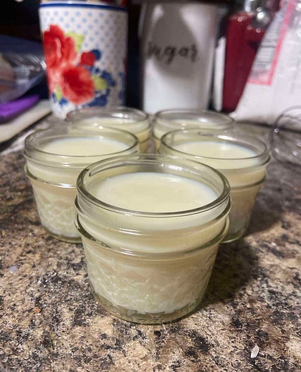 Homemade vanilla pudding 