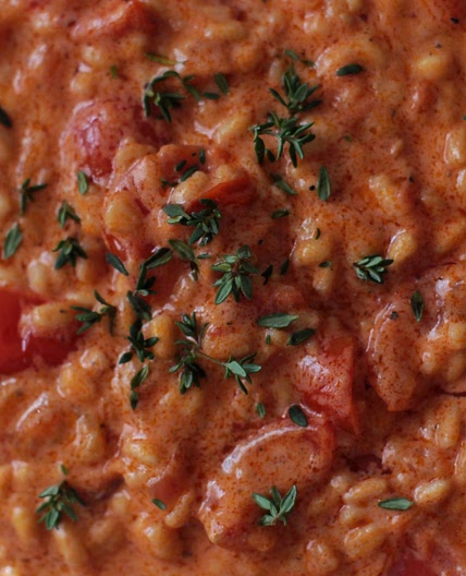 orzo al pomodoro cremoso