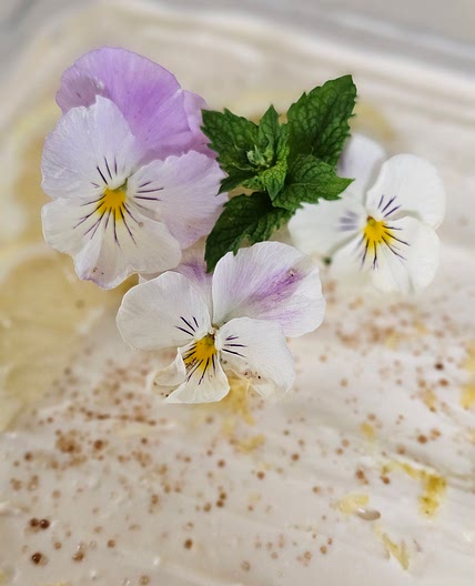 Ricotta mousse Bagynskiy