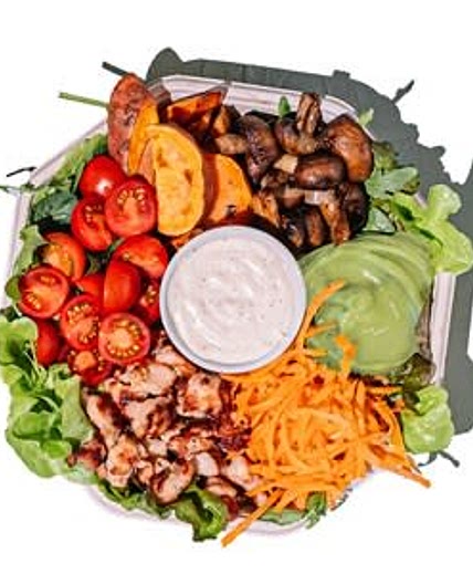 Avocado chicken salad plate