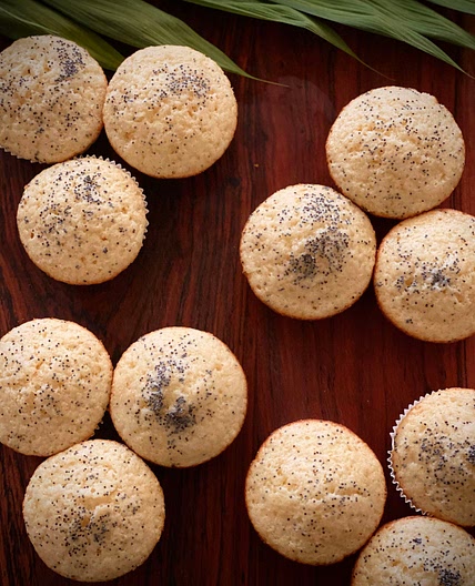 Mini lemon poppy seed muffins