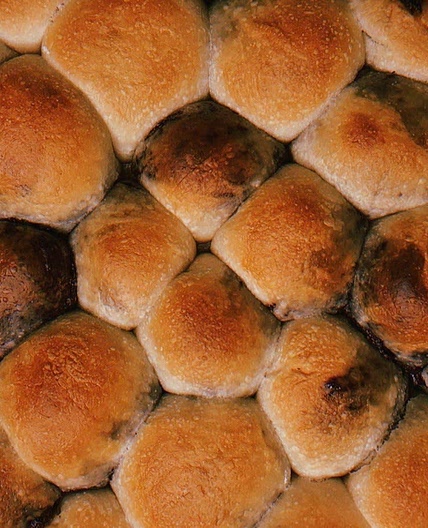 nuvolette bites 