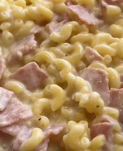 Pates Coquillettes Jambon Fromage