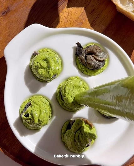 Escargot, oysters or shrimp in pesto 