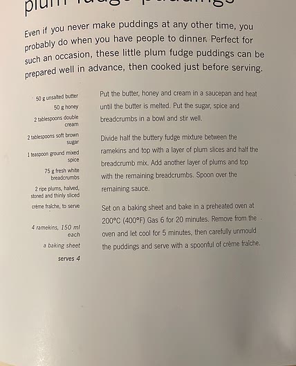 Plum fudge pudding 