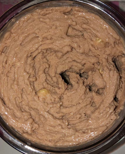 Chocolate hazelnut ninja creami 