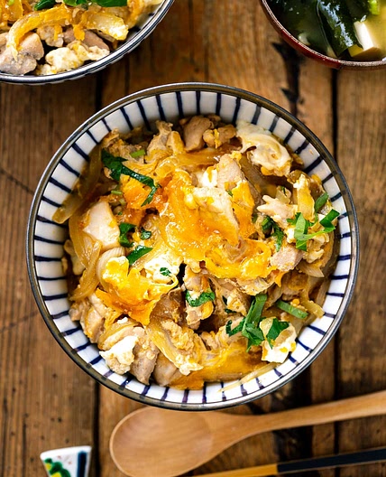 Japanese Donburi Bowls