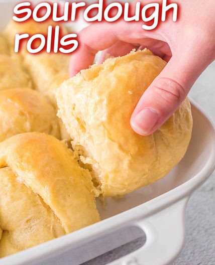 Sourdough Discard Dinner Rolls