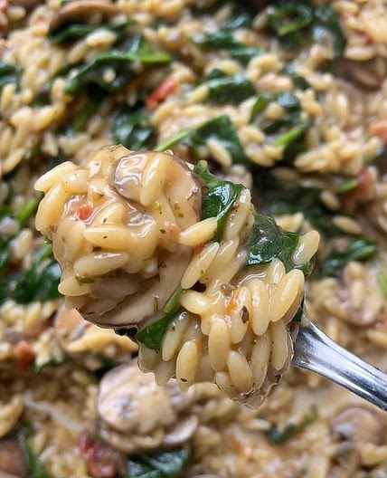 Creamy Mushroom & Sundried Tomatoes Orzo