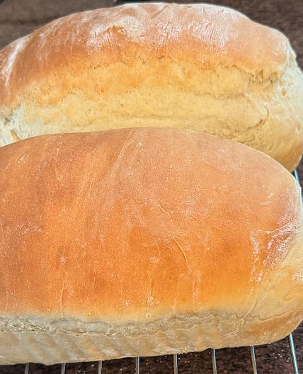 Sandwich Bread