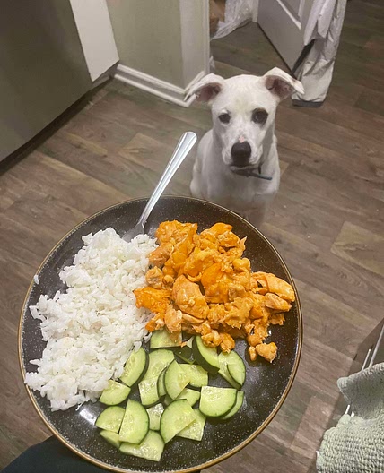 Korean Salmon and Rice