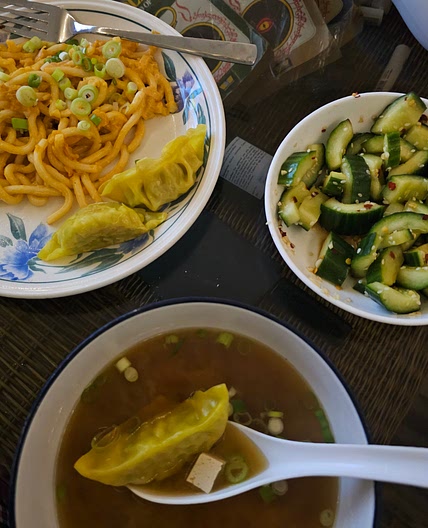 Udon noodles and miso gyoza