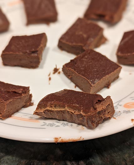 Unsweetened Protein Fudge