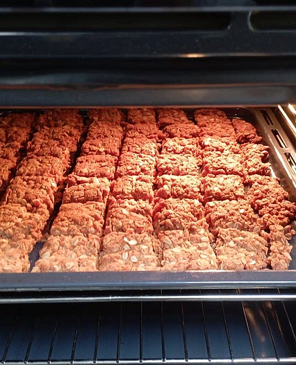 Shelley's Easy Protein Crunchies