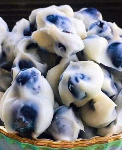 Vegan Blueberry Yogurt Protein Bites
