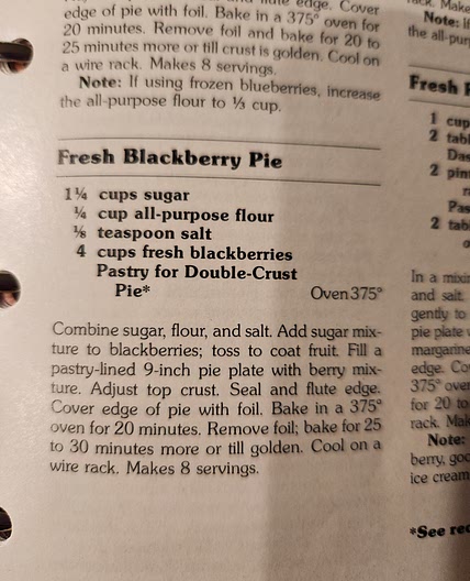 Fresh Blackberry Pie (red cookbook)