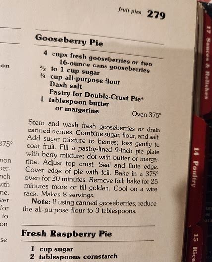 Gooseberry Pie (red cookbook)