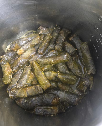 Vegetarian Grape Leaves with Lentils