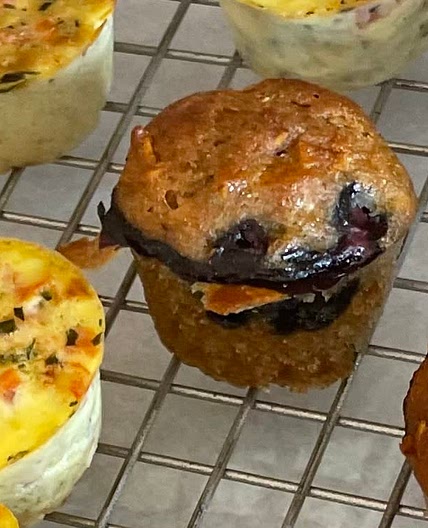 Mini muffin and egg bites 