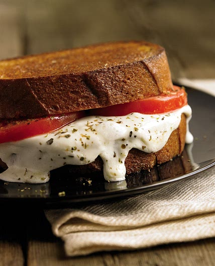 Grown-Up Grilled Cheese I