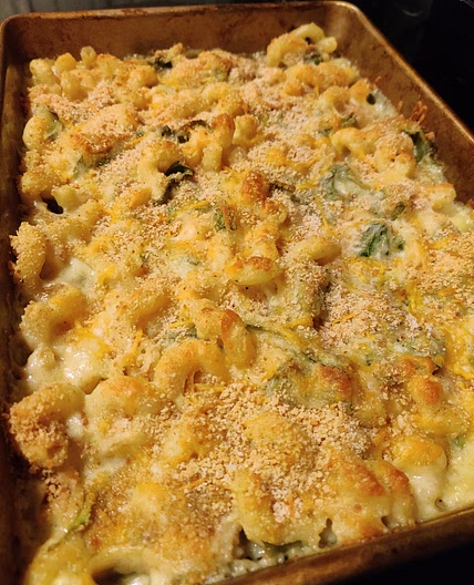 Summer Squash Baked Mac n Cheese