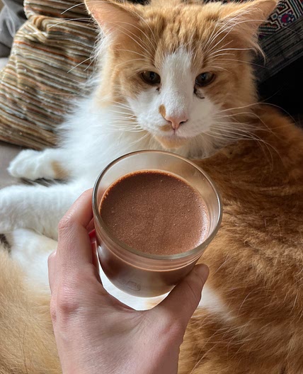 Mousse au chocolat d'Elie
