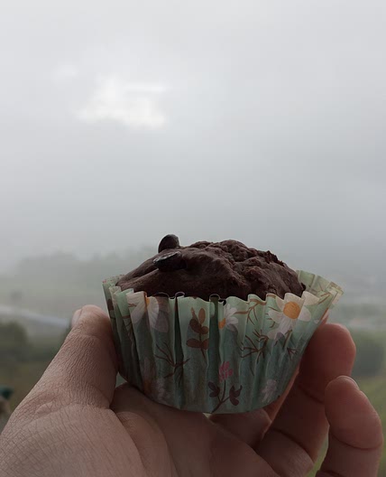Banana and chocolate muffins