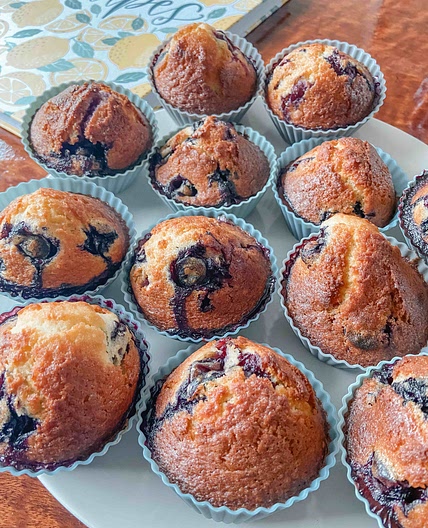 Blueberry muffins 