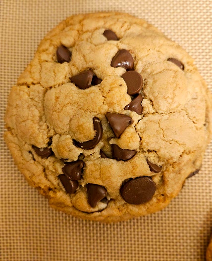 Double Chocolate Chip Cookies