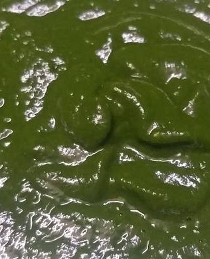 धनिया की मसालेदार चटनी (dhaniya chutney recipe in hindi)