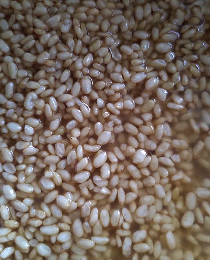 Rice Shio Koji
