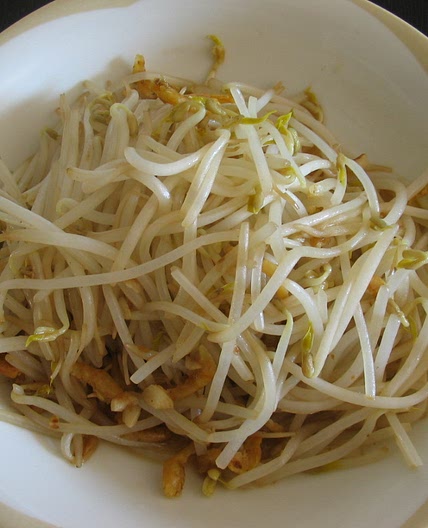 Stir Fry Bean Sprout with Dried Shrimps