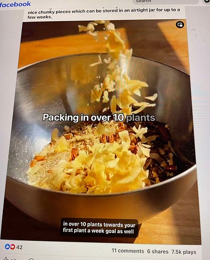 93 Zoe Granola