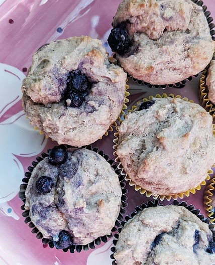 Kodiak Blueberry Muffins