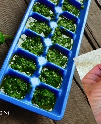 Freezing Cilantro